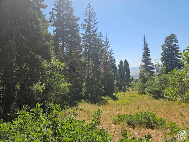 Property Photo: 1002 E North Fork Rd S 1002 UT 84629