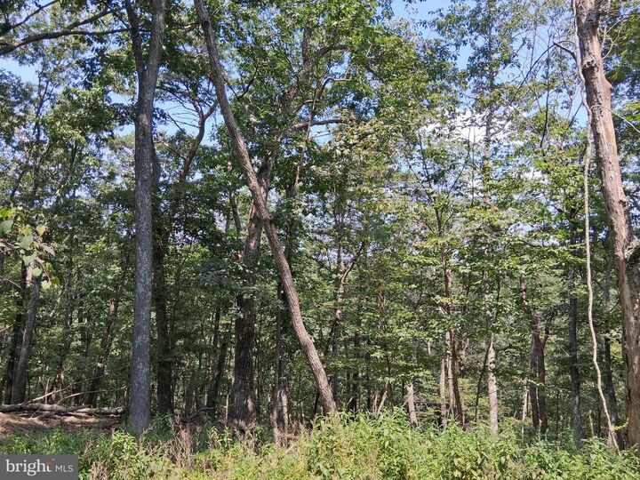 Property Photo:  Lot 84 Roundtop Lane  WV 25411 