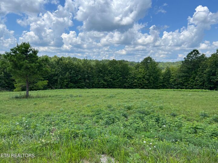 Property Photo:  Lot 55 Canter Hill  TN 38556 