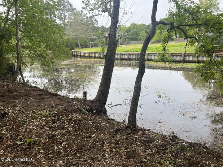 Property Photo:  Tahiti Road  MS 39572 