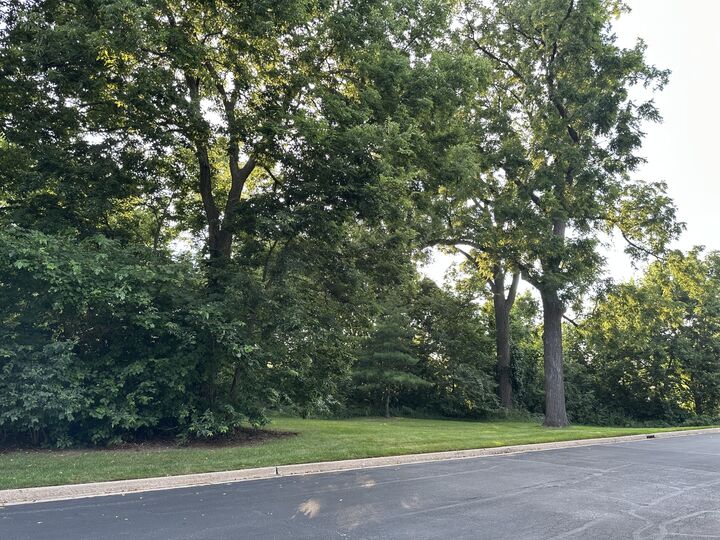 Property Photo: 1921 Lynn Circle IL 60048