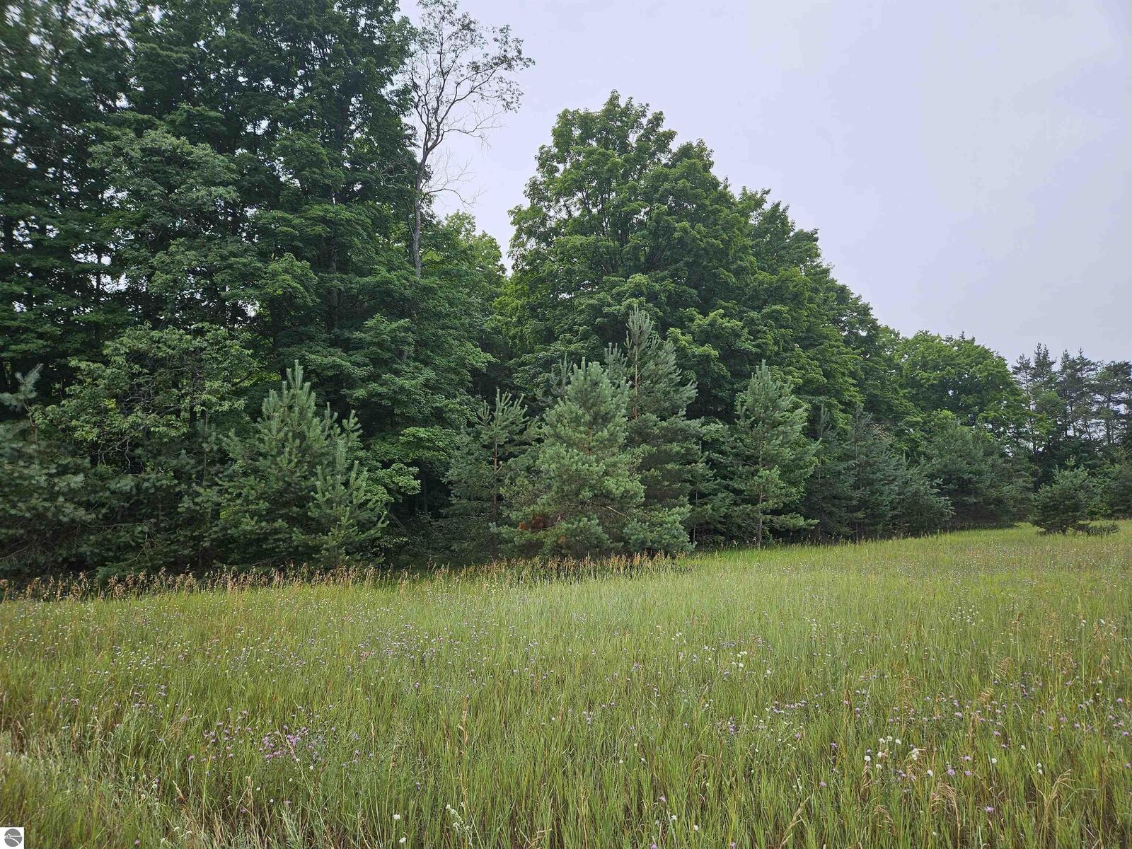 Property Photo: 0000 V/L "D" Grass Lake Road MI 49646