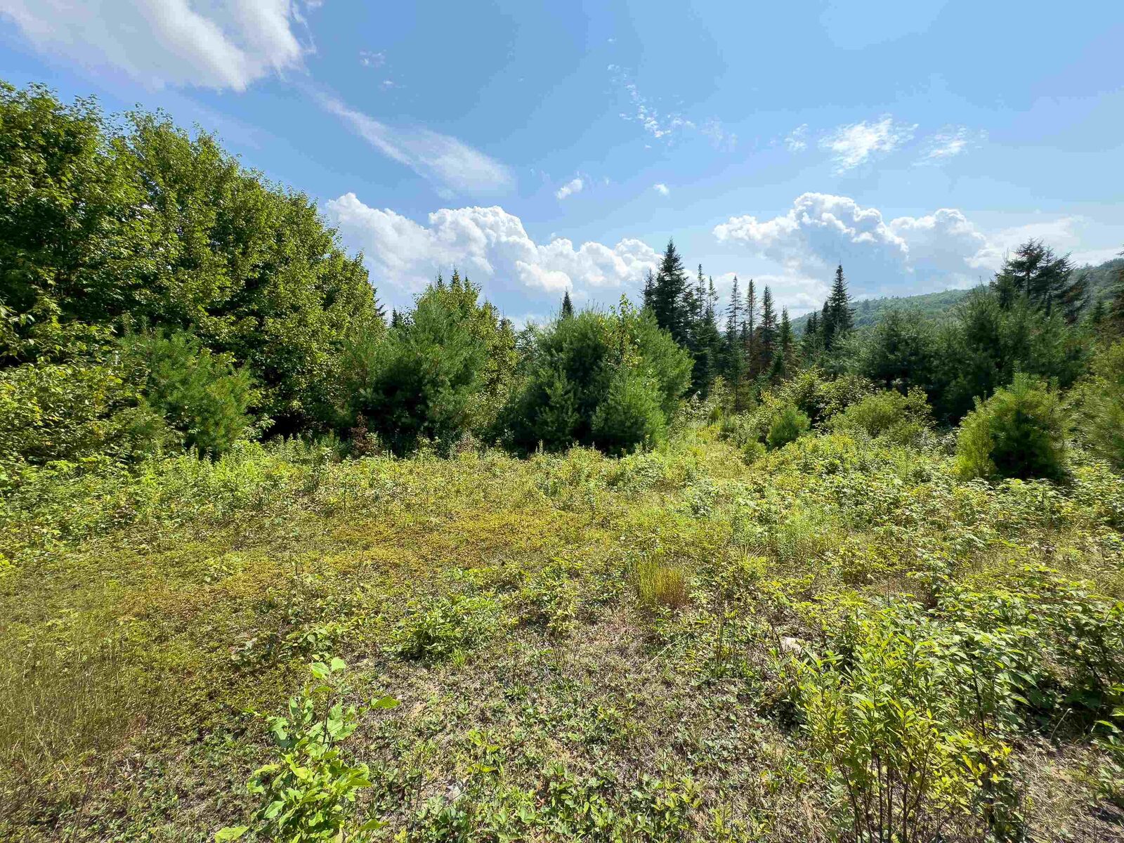 Property Photo: 00 Scotch Hollow Road VT 05051