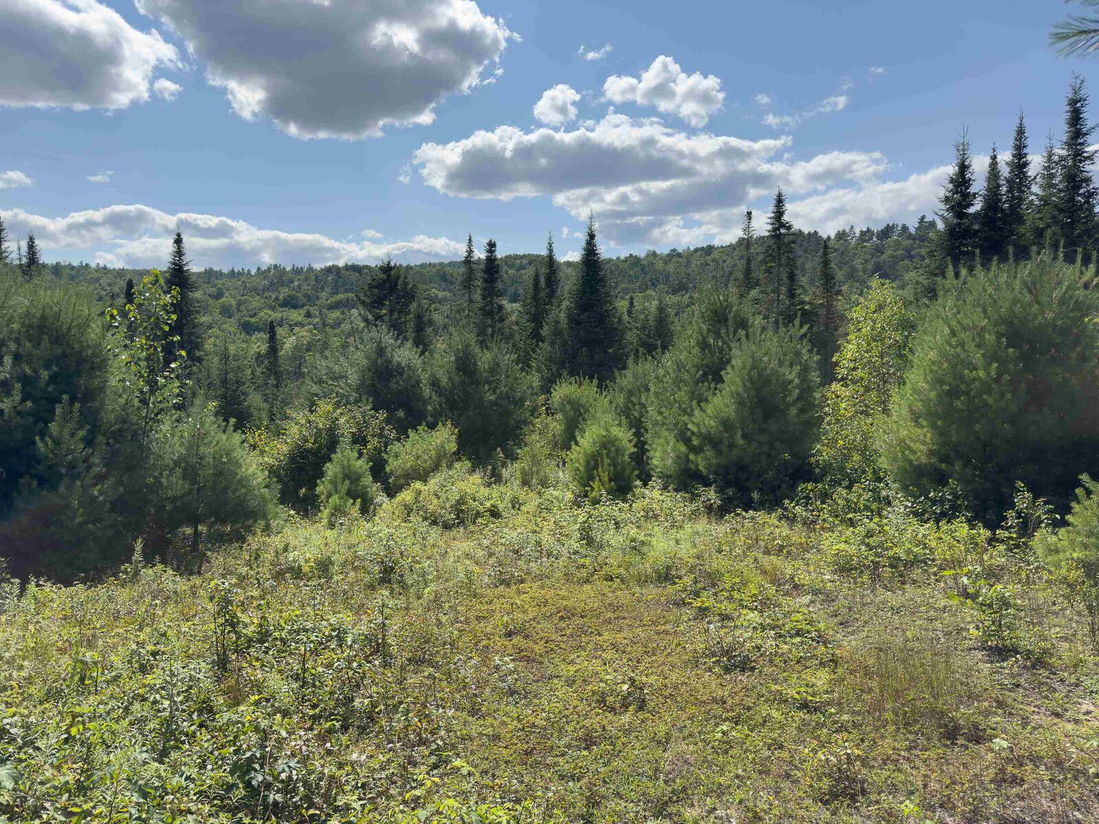 Property Photo:  00 Scotch Hollow Road  VT 05051 