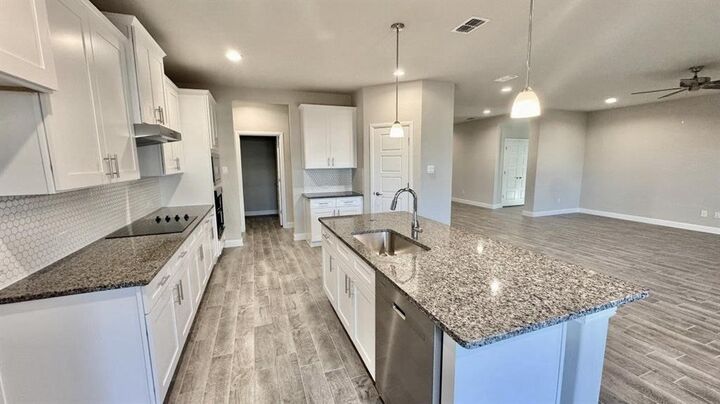 Property Photo:  307 Lelo Lane  TX 76063