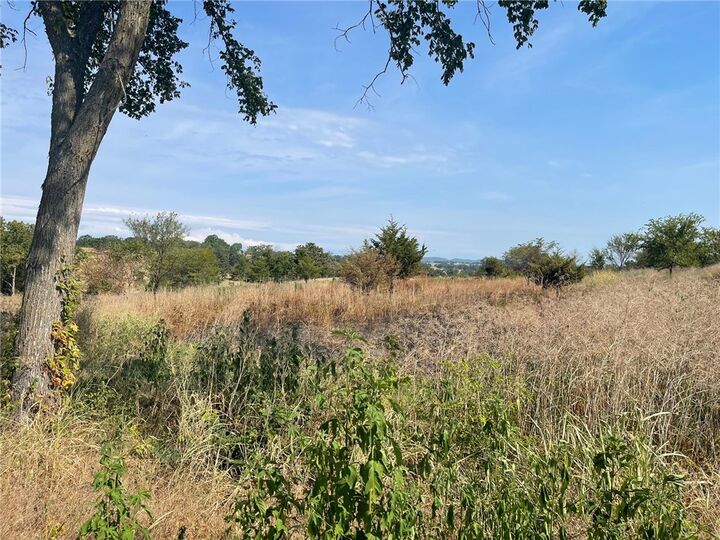 218 County Road 405  Berryville AR 72616 photo