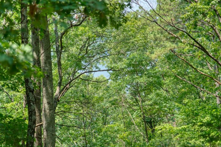 Property Photo: County Road 1531 AR 72632