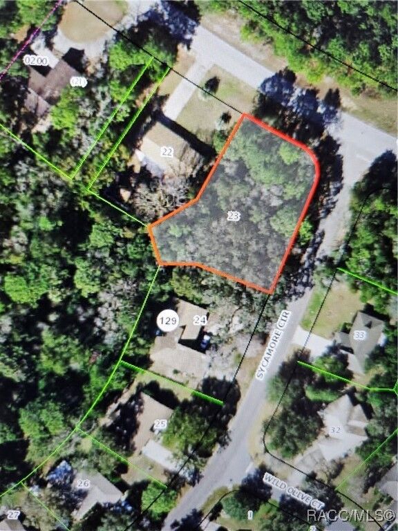 Property Photo: 2 Sycamore Circle FL 34446