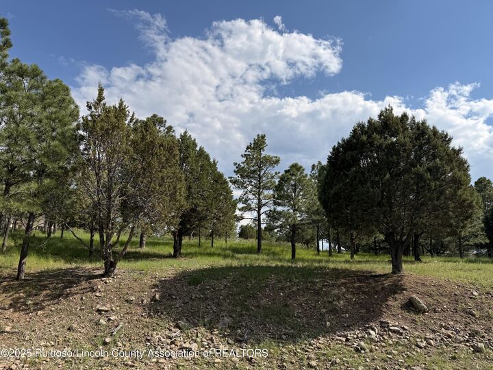 Property Photo:  Lot 3 Block 8  NM 88312 