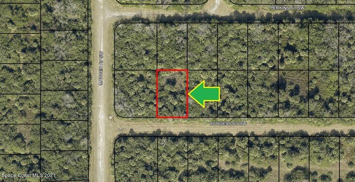 Property Photo:  791 Burgess Street SW  FL 32908 