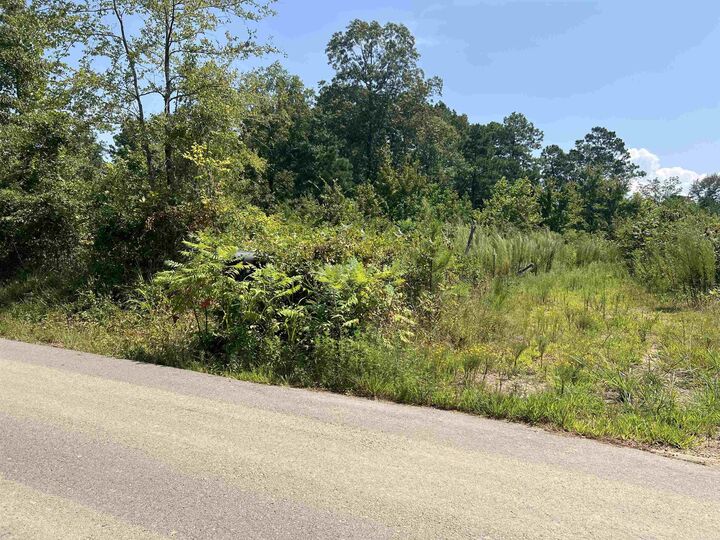 Property Photo: Tbd Green Acres AR 71929