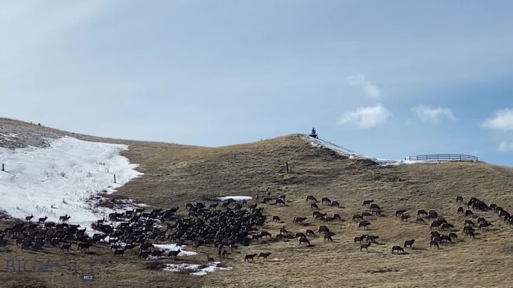 86 Pony Lane  Livingston MT 59047 photo