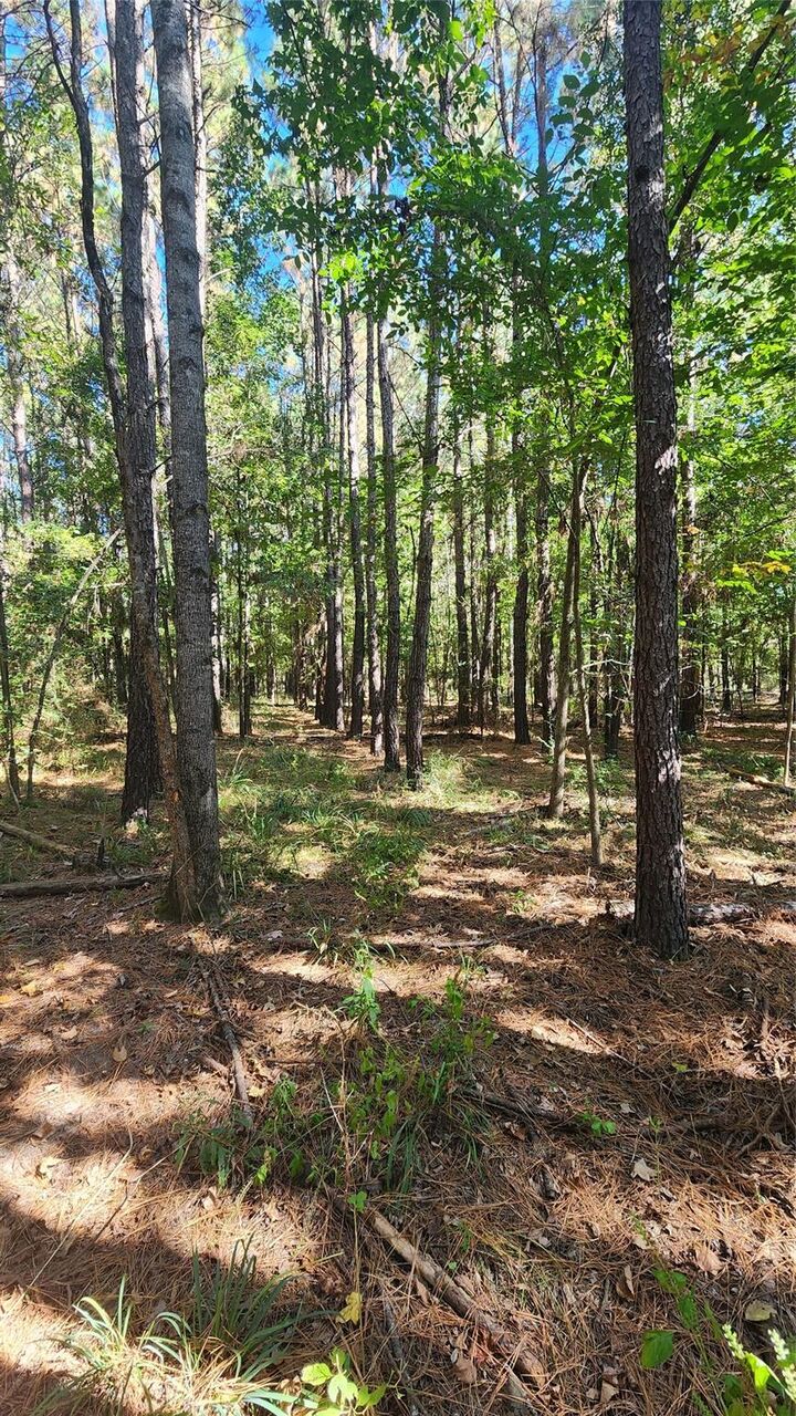 Property Photo: Lot 228 Ranches At Lone Star Ridge TX 75851