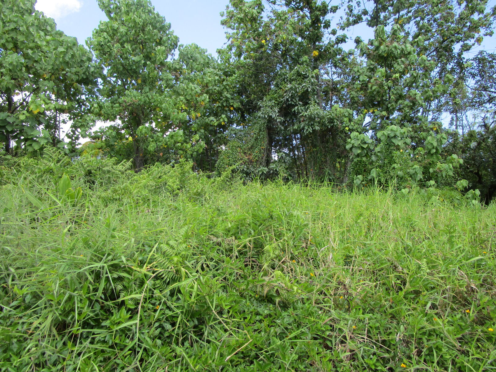 Property Photo: Kupulau Rd HI 96720