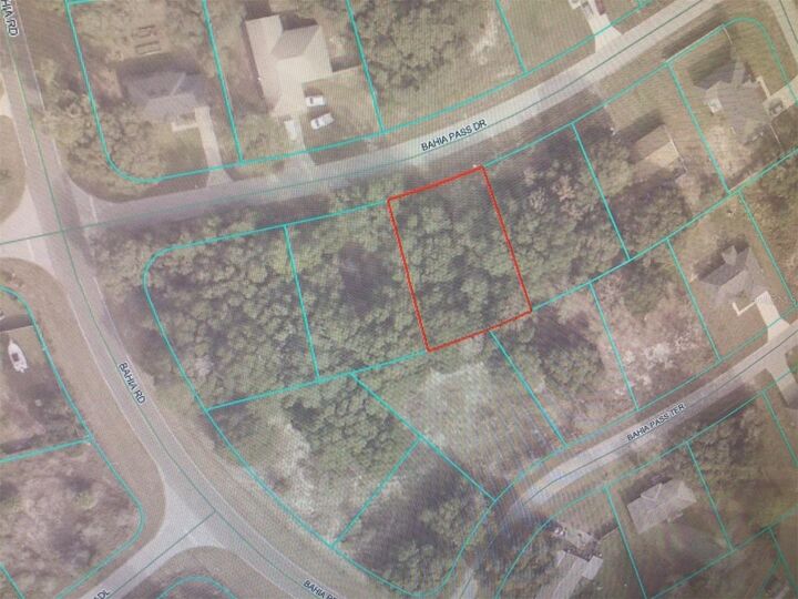 Property Photo: 0 Bahia Pass Drive FL 34480