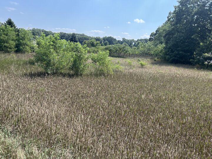 3380 Babylon Road  Allegan MI 49010 photo