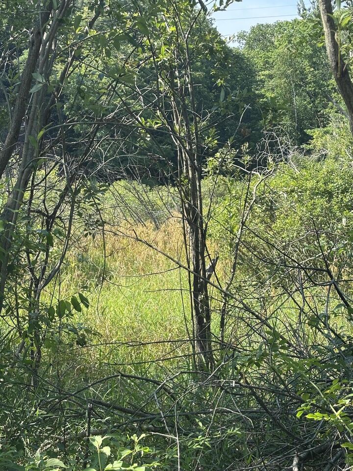 Property Photo: 0 Fruitvale Road MI 49437