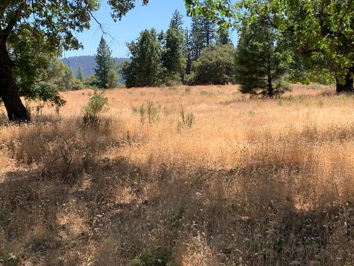 Property Photo:  20 Hawkeye Road  CA 95684 