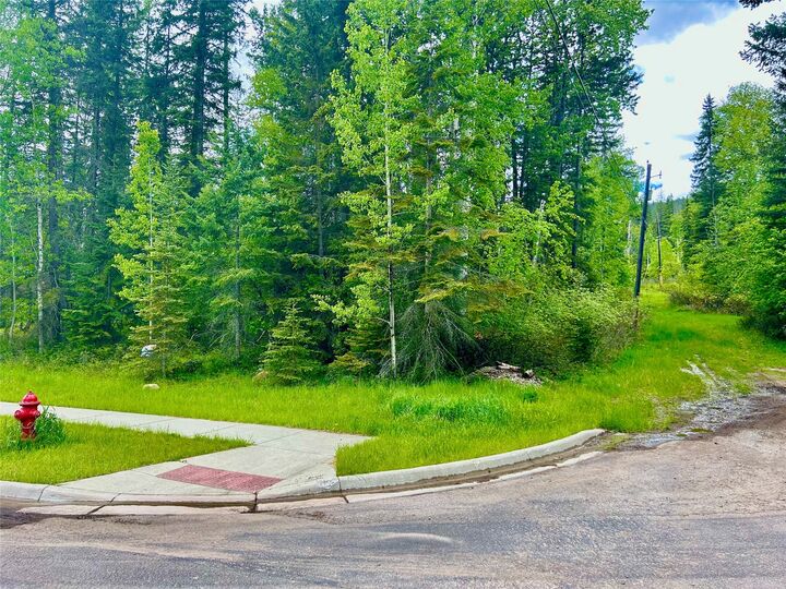 Property Photo: 754 Ice House Road MT 59937