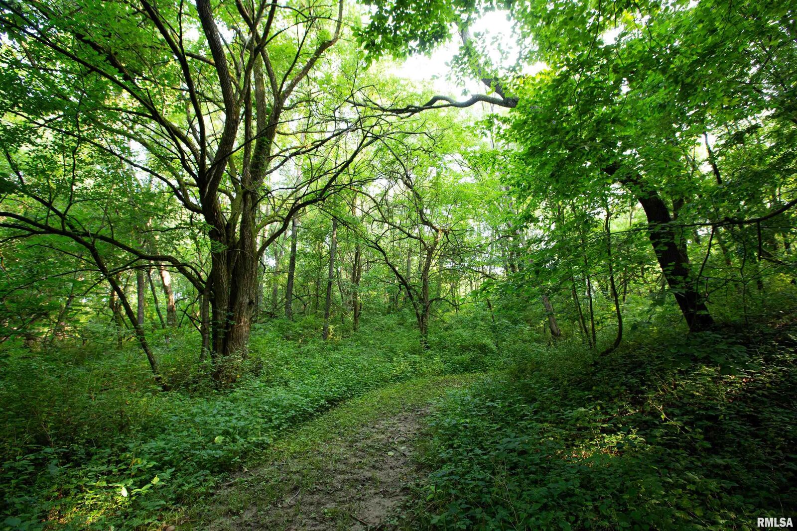 Property Photo: 0000 E Knox Rd 1350 E Road 11424 IL 61428