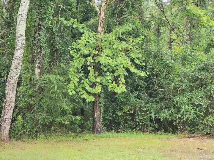 Property Photo:  1130 Oak Ridge Trl  FL 32533 