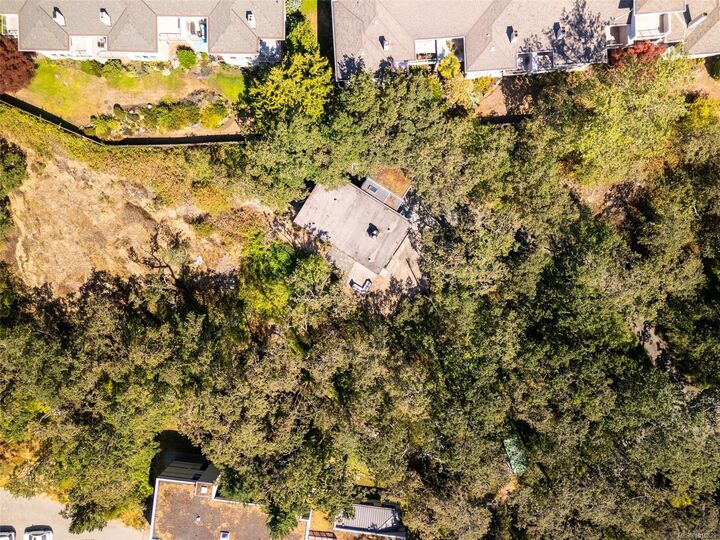Property Photo: 4050 Nelthorpe St BC V8X 2A2