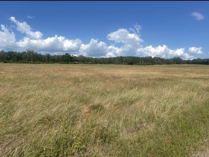 Property Photo: 00 Bailey Branch Rd AR 72824