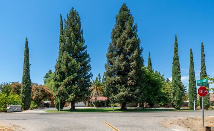 12502 Road 37 1/2  Madera CA 93636 photo