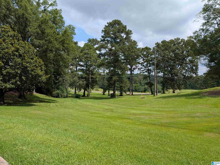Property Photo:  0 Buckner Circle 0  AL 36207 