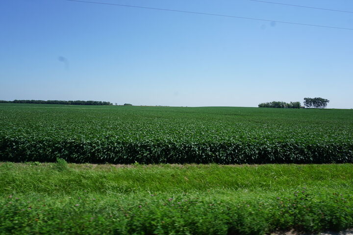 Property Photo: