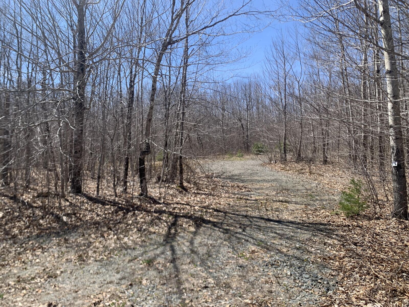 Property Photo: Lot 30 Jellison Hill Road ME 04429
