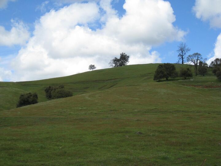 Property Photo:  0 Old Hwy 49  CA 95685 