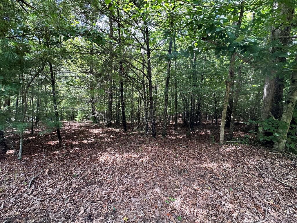 Property Photo:  95 Rabbit Knob Drive  GA 30582 