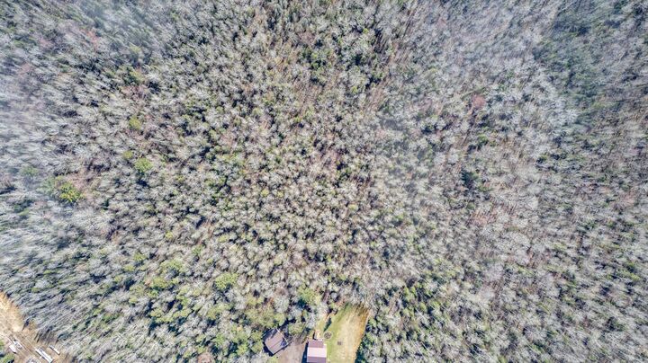 Property Photo: 56xx McQuade Road MN 55804