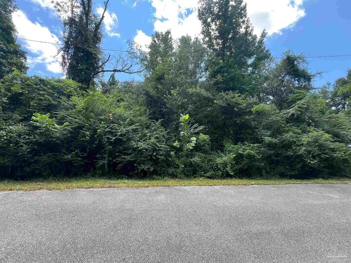 Property Photo:  1100 Blk McKinnonville St  FL 32577 