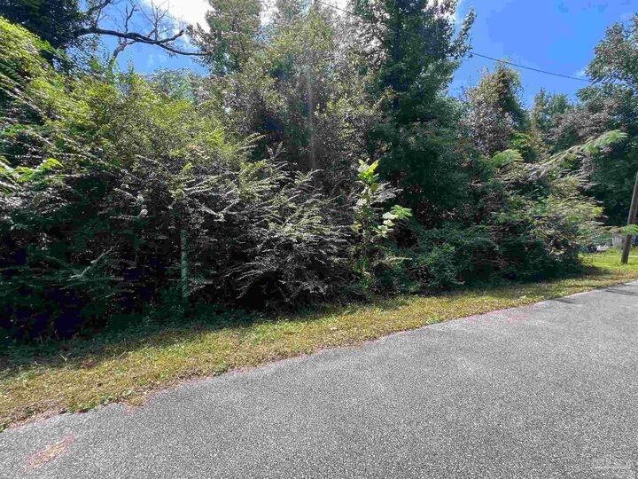 Property Photo: 1100 Blk McKinnonville St FL 32577