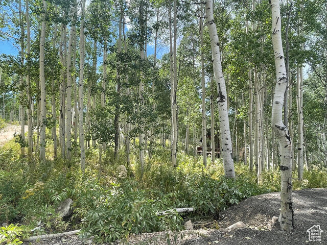 Property Photo:  11485 Violet Way 1845  UT 84032 