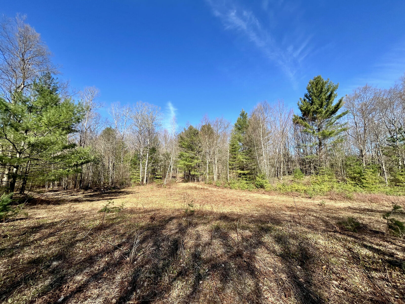Property Photo:  Off Oswegatchie Trail Road  NY 13690 