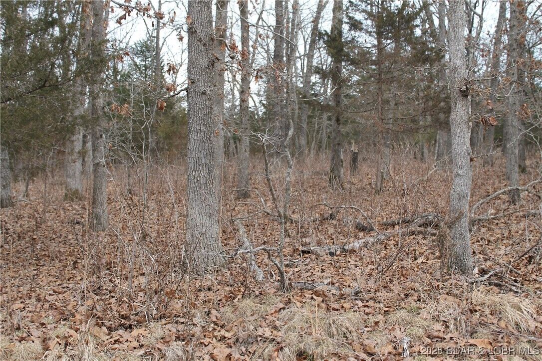 Property Photo: Winarsky Circle 4093 MO 65326