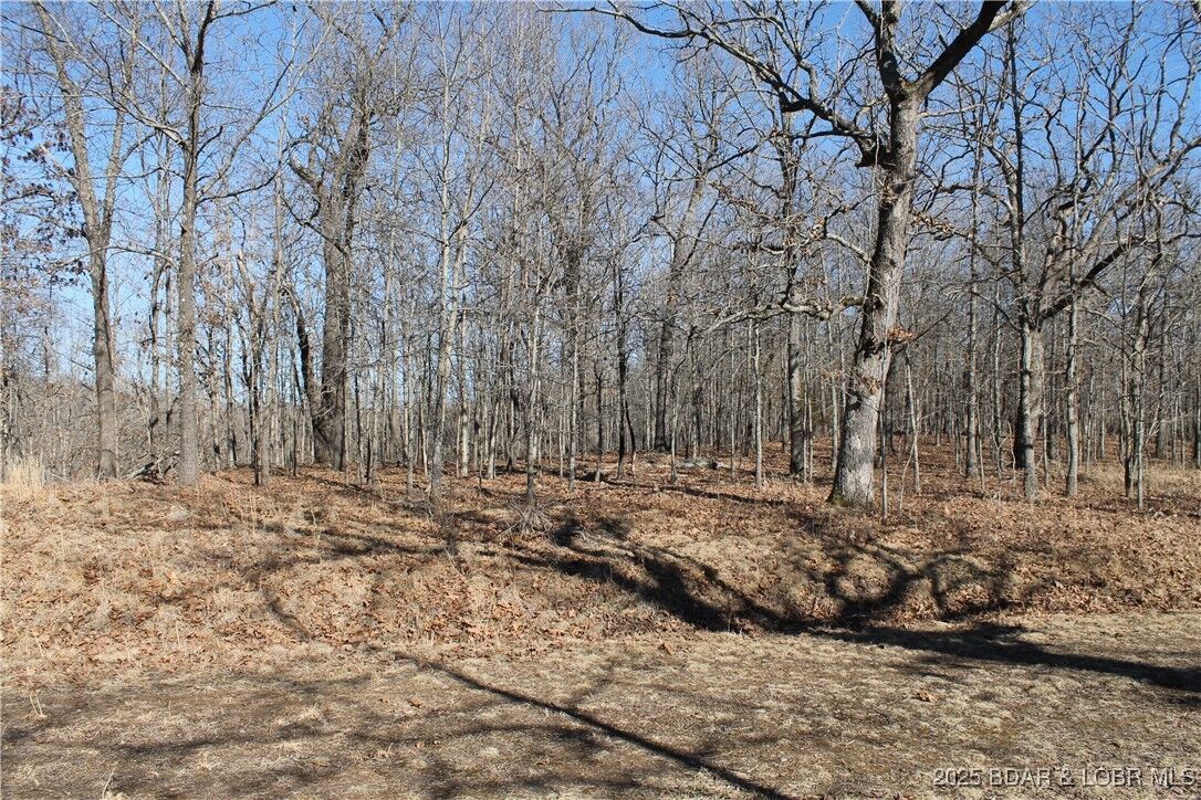 Property Photo: Dunn Drive 1342 MO 65326