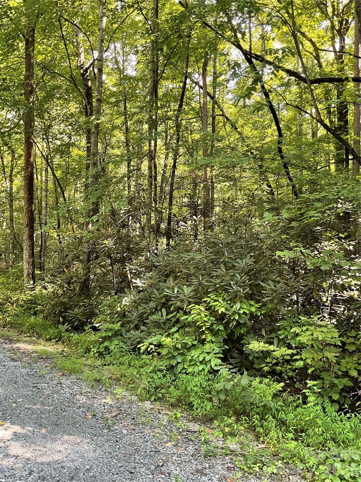 Property Photo:  0 S Poplar Drive 162  NC 28746 