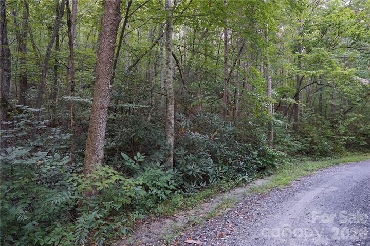 Property Photo:  0 S Poplar Drive 162  NC 28746 