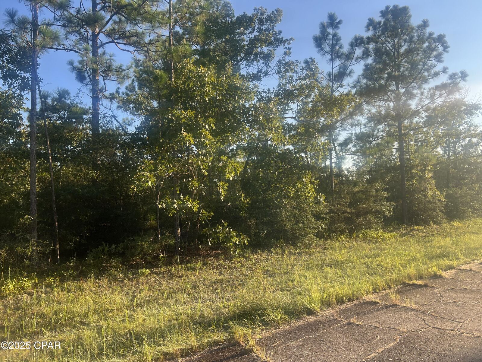 Property Photo:  0000 Kelvin Street  FL 32428 
