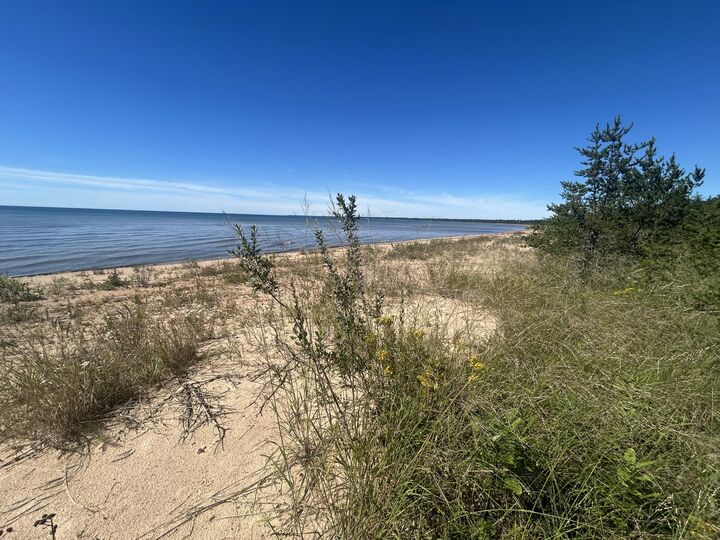 Property Photo:  Lot 42 West Beach Rd  MI 49762 