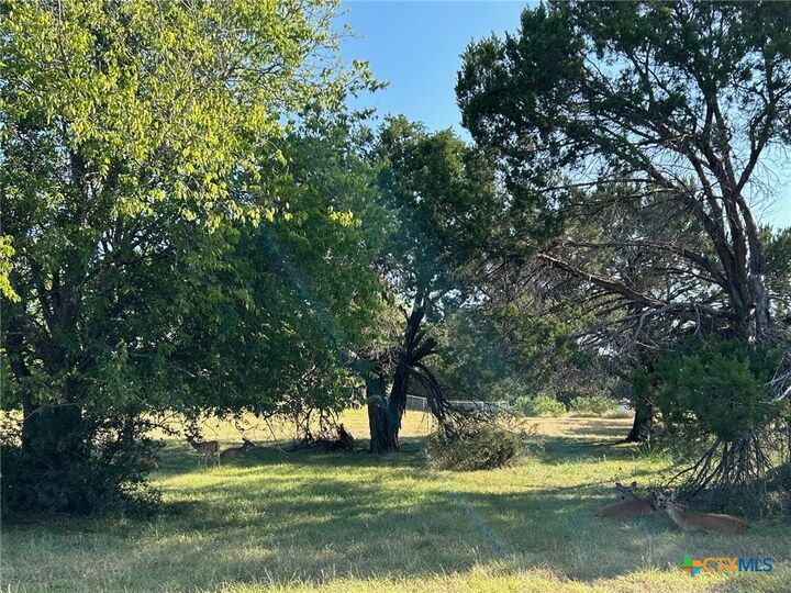 2220 Tye Valley Road  Harker Heights TX 76548 photo