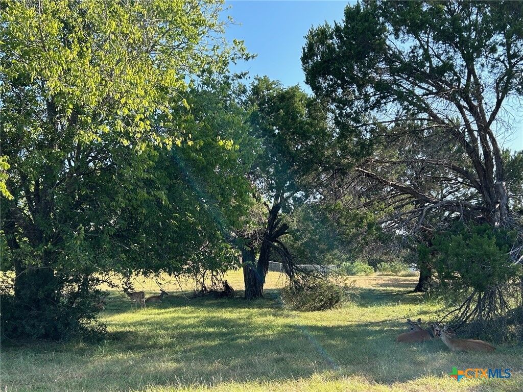 Property Photo:  2220 Tye Valley Road  TX 76548 