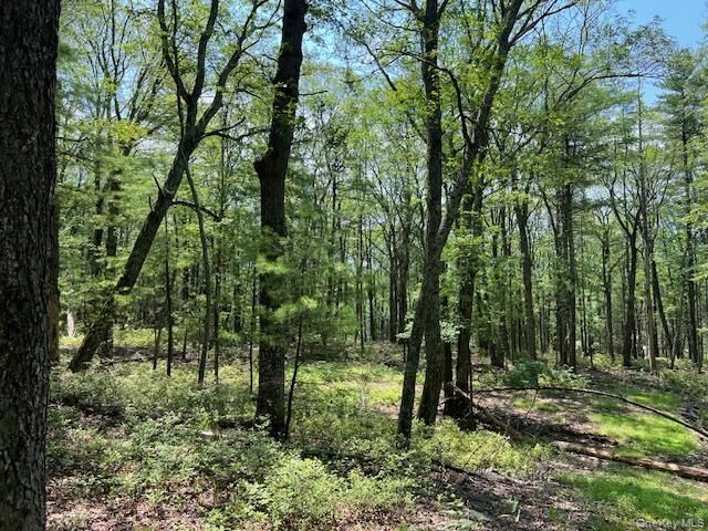 Property Photo: Lot 7 Sunflower Drive NY 12737