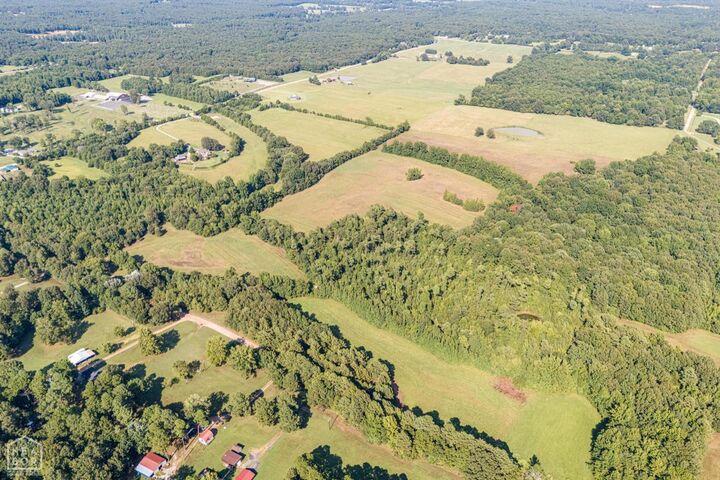 Property Photo: 271 Greene 716 Road AR 72450
