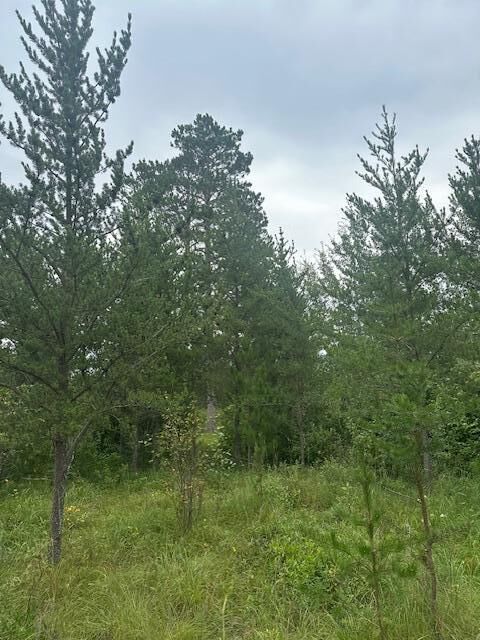Property Photo:  Tbd Memorial Lane NW  MN 56601 