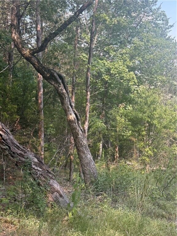 Property Photo:  74 Twin Peak Drive  AR 72631 